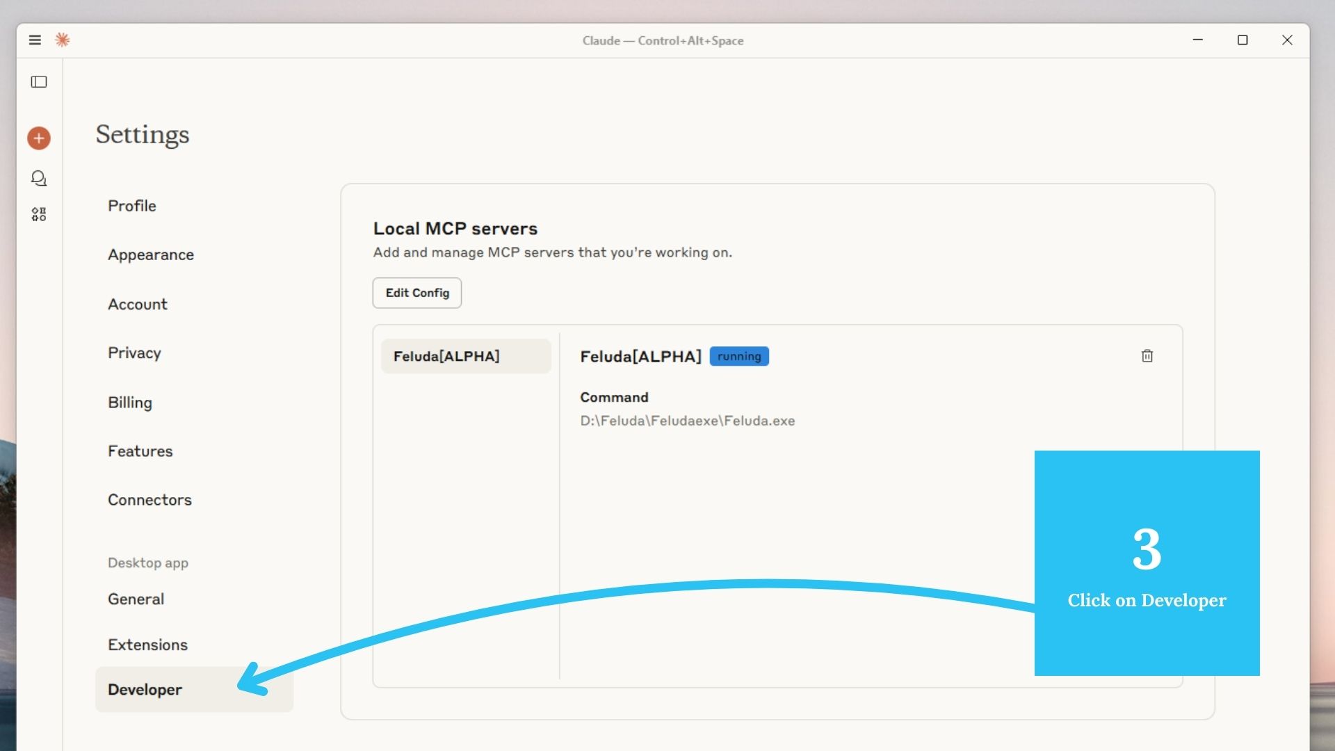 Step 3: Developer Tab