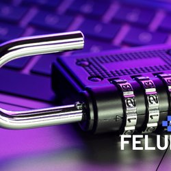 vulnerabilities-cve-feluda.png