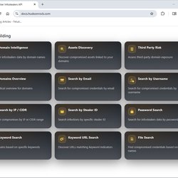 hudsonrock-api.png